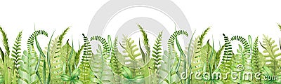 Green grass and fern seamless border. Watercolor hand drawn illustration. Field green lush grass decoration element Cartoon Illustration