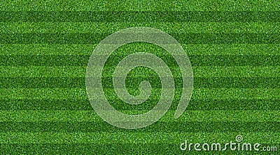 Green grass field background for soccer and football sports. Green lawn pattern and texture background. Close-up Stock Photo