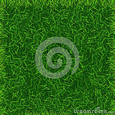 Green Grass Field Banner Football Place Background. Vector Vector Illustration