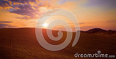 Green grass field landscape under sun fall sunset sky with soft clouds in summer Stock Photo