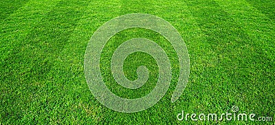 Green grass field pattern background for soccer and football sports. Green lawn pattern and texture for background Stock Photo