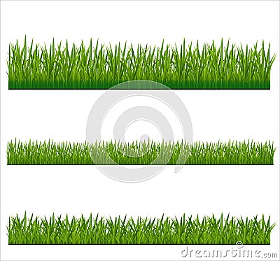 GREEN GRASS Vector Illustration