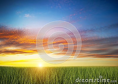 Green grass field under colorful sunset sky. Stock Photo