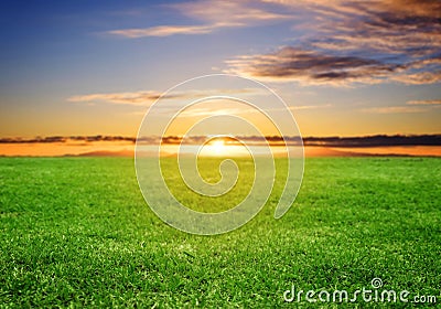 Green grass field under sunset sky in summer Stock Photo