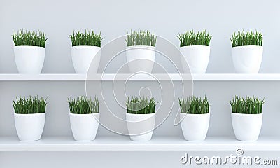 Green grass in flowerpots Stock Photo