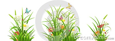 Green grass and flowers set Vector Illustration