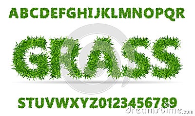 Green grass font. Lawn texture alphabet with numbers on white background. Vector Illustration