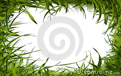 Green grass frame Stock Photo