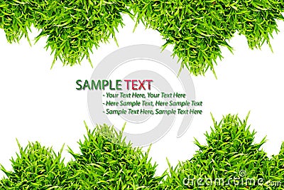 Green Grass frame isolated Stock Photo