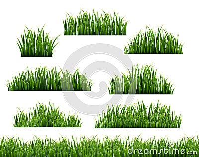 Green Grass Frame White Background Vector Illustration