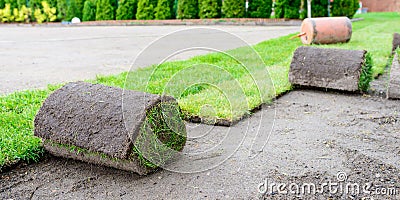 Green grass in the garden - laying lawn from a roll Stock Photo