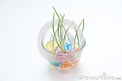 Green Grass Growing in a Dish with Marbles Stock Photo