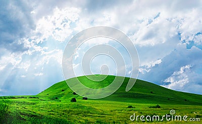 Green grass hill Stock Photo