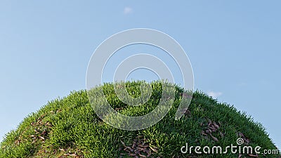 Green grass hill with dead leaf on blue sky. 3D rendering Stock Photo