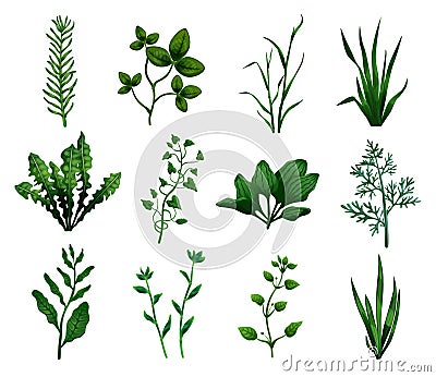 Green Grass Icons Set Vector Illustration