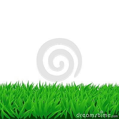 Green grass Vector Illustration