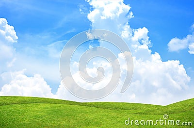 Green grass landscape Stock Photo