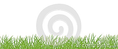 Green grass lawn banner. Border frame isolated transparent background. Vector flat Illustration on white background Vector Illustration