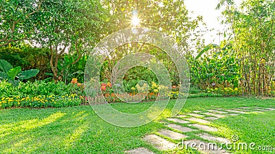 Green grass lawn in a garden with random pattern of grey concrete stepping stone , Flowering plant, shurb and trees on backyard Stock Photo