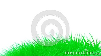 Green grass meadow isolated on white. Vector illustration Vector Illustration