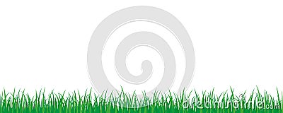 Green grass meadow border vector pattern isoladet on a white background Vector Illustration