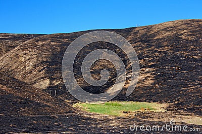 Green grass in the middle of fire charred valley blue sky Stock Photo