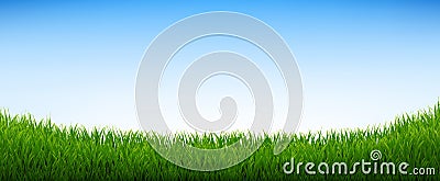 Green Grass Panorama With Blue Sky Vector Illustration