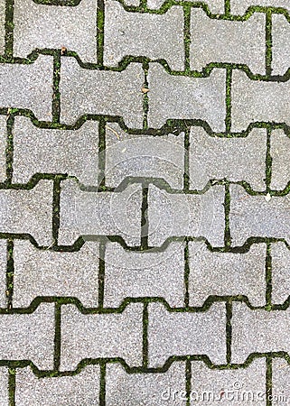 Green grass and parts of grey tiles Outdoors Stock Photo