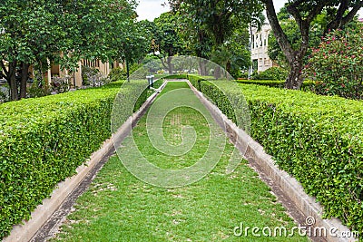 Green grass Pathway Stock Photo