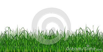 Green Grass Plant Cartoon Vector Ilustration for your design Stock Photo