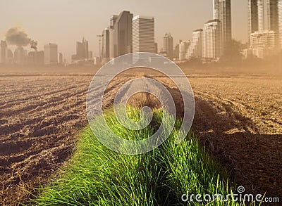 green grass road to abandoned city abstract environmental concept. Stock Photo