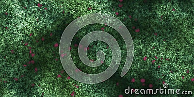 Green Grass with Rose Leafs Background Texture Stock Photo