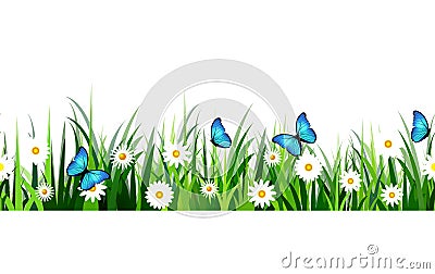 Green Grass seamless Vector Illustration