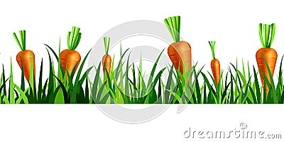 Green Grass seamless Vector Illustration