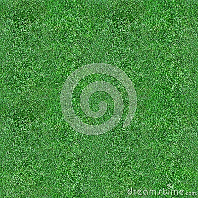 Green Grass Seamless Texture Stock Photo