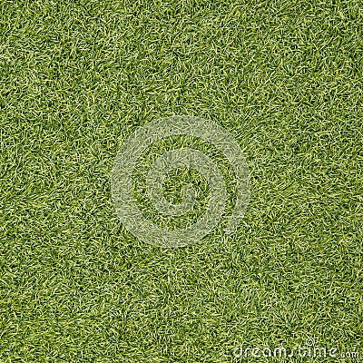 Green grass seamless texture. Seamless in only horizontal dimens Stock Photo