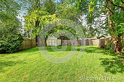 Green grass and a shed in empty fenced back yard Stock Photo