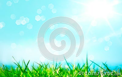 Green grass with shiny sun Stock Photo