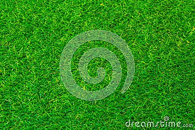 Green grass soccer or golf field background Stock Photo
