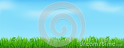 Green grass on spring lawn or field Vector Illustration