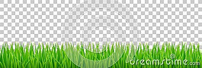 Green grass on spring lawn or field Vector Illustration