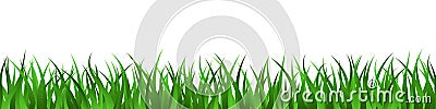 Green grass lawn seamless border summer background Vector Illustration