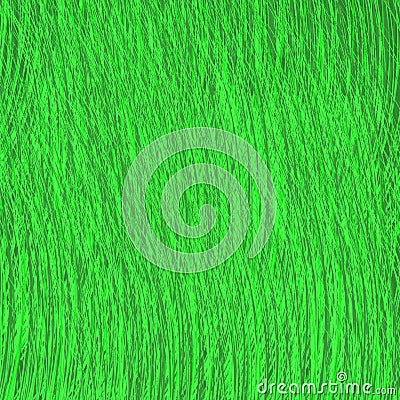 Green Grass Strokes Drawn Background. Vector Illustration