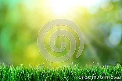 Green grass with sunset views. Stock Photo