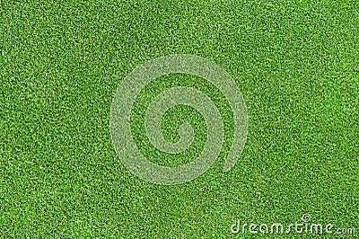 Green grass texture Stock Photo