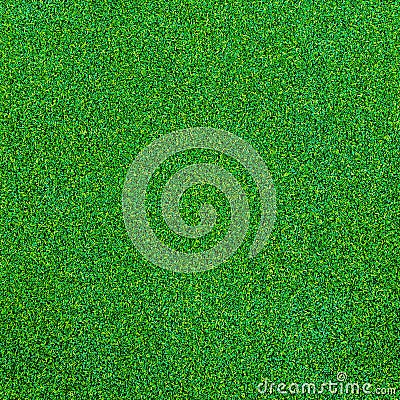 Green grass texture for background Stock Photo