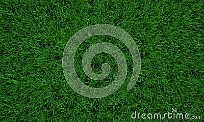 Green grass texture background, Green lawn, Backyard for background, Grass texture, Green lawn desktop picture, Park lawn texture Stock Photo