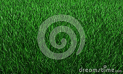 Green grass texture background, Green lawn, Backyard for background, Grass texture, Green lawn desktop picture, Park lawn texture Stock Photo