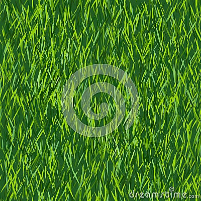 Green grass texture or background. Seamless pattern Vector Illustration
