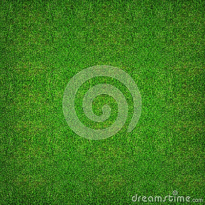 Green grass texture background for soccer sport or football sport and golf sport background. Stock Photo